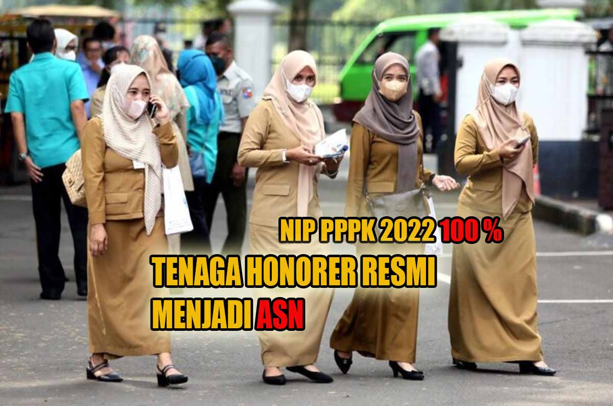 Penetapan NIP PPPK 2022 100 Persen, Tenaga Honorer Dalam Wilayah Kanreg BKN Ini Resmi Menjadi ASN!