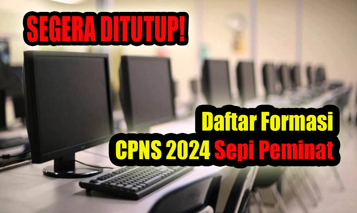 2 Hari Jelang Penutupan Pendaftaran CPNS 2024, Ini Formasi CPNS Sepi Peminat!