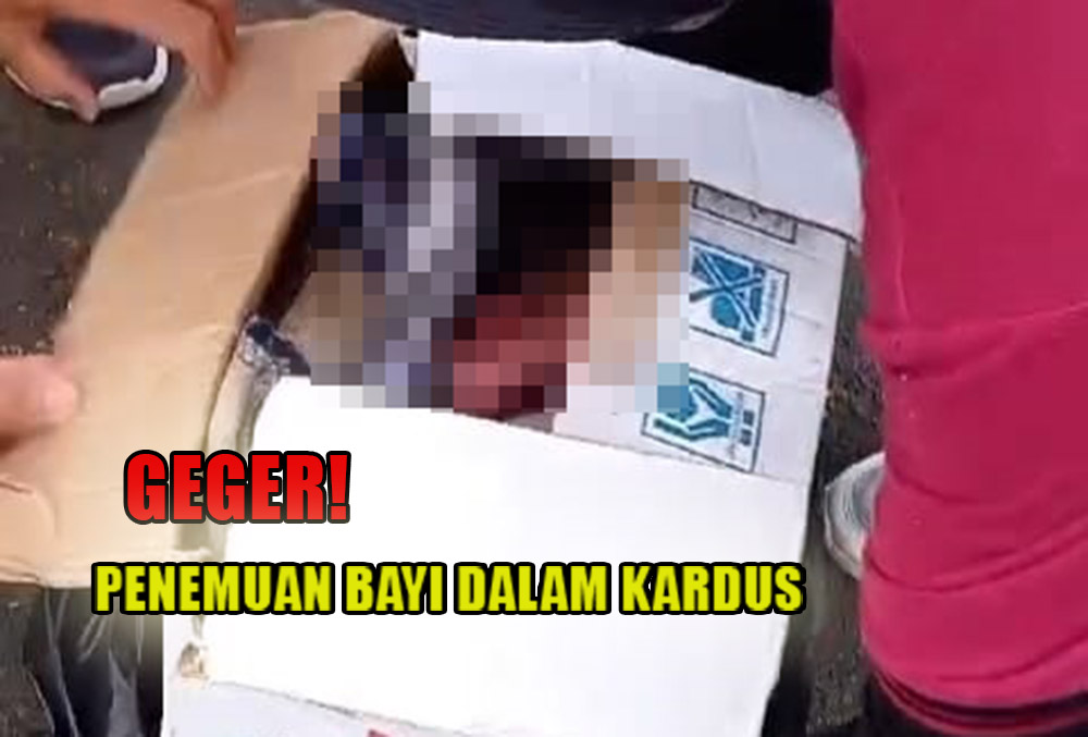 BREAKING NEWS: Warga Kepahiang Kembali Digegerkan Penemuan Bayi Dalam Kardus!