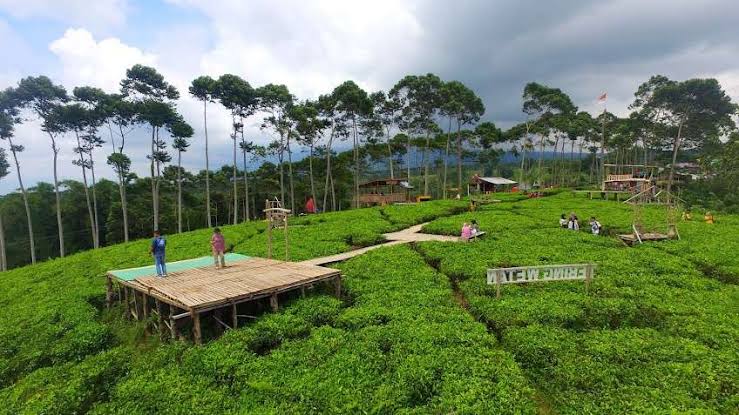 Sudah 60 Persen, Disparpora Kepahiang Targetkan Capaian PAD Over Target