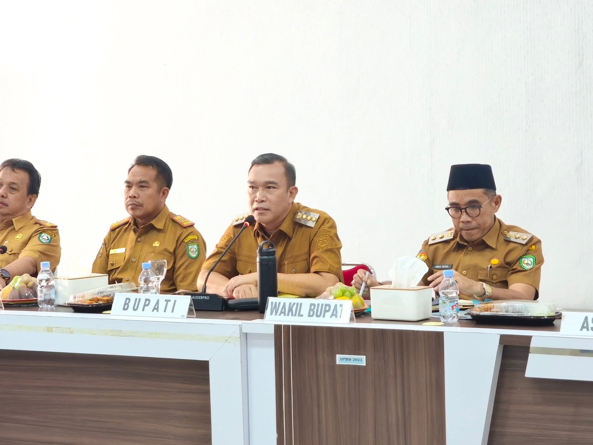 Hasil Audiensi dengan Kemenhut, Selangkah Lagi Aset Lahan Puncak Mall Milik Kepahiang