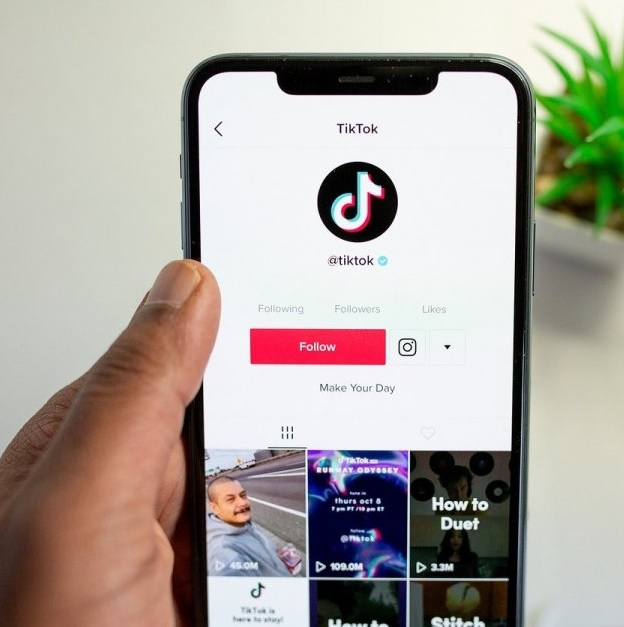 Hindari Pelanggaran di TikTok Dengan Panduan Komunitas yang Perlu Diketahui Tiktokers