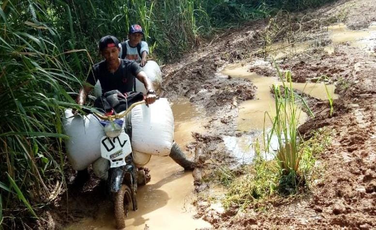 Kepahiang Bakal 'Gigit Jari', Anggaran Pembangunan DAK Fisik 2026 Efesiensi Lagi