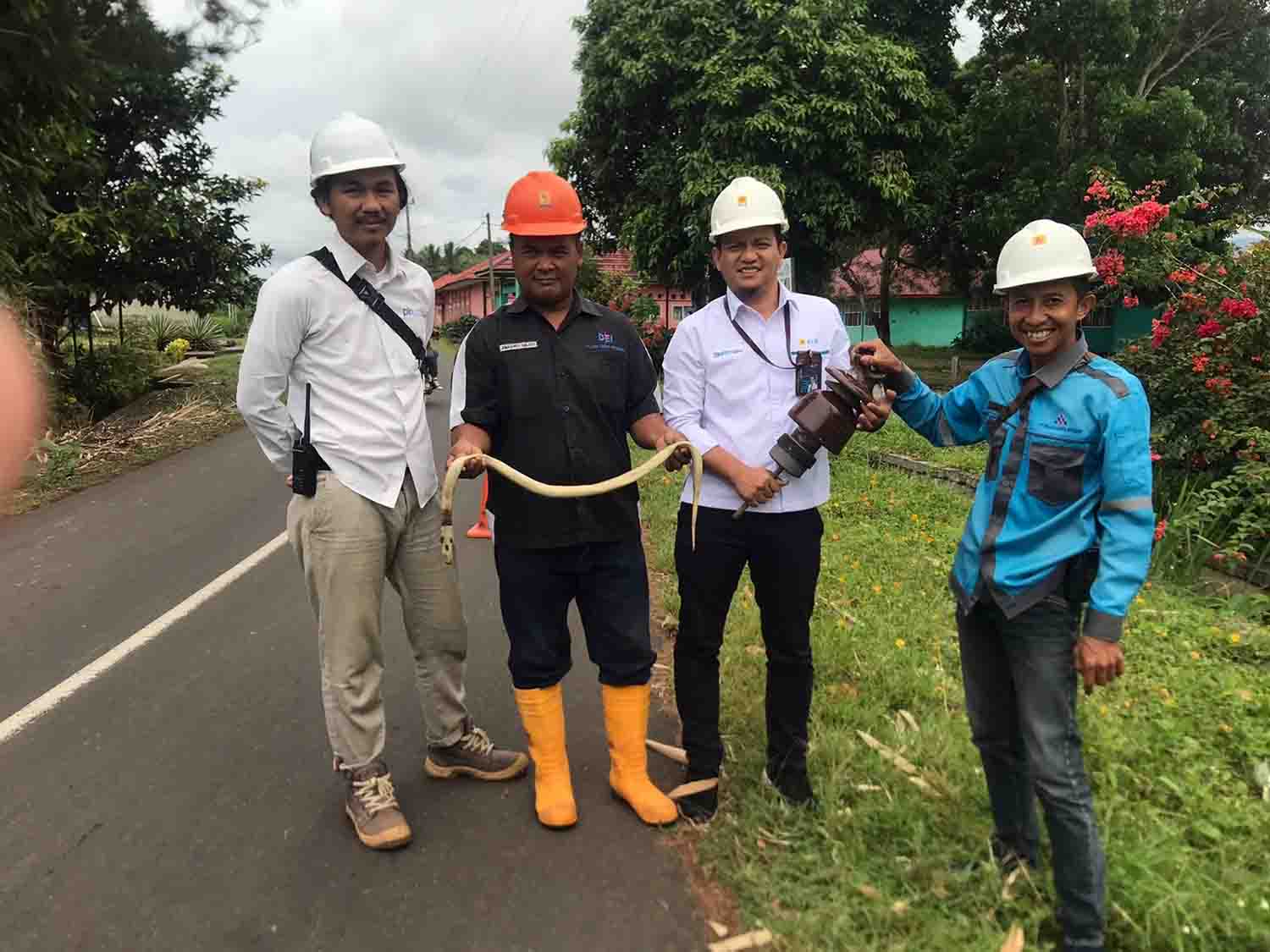 Ular Sebabkan Listrik Byar Pet