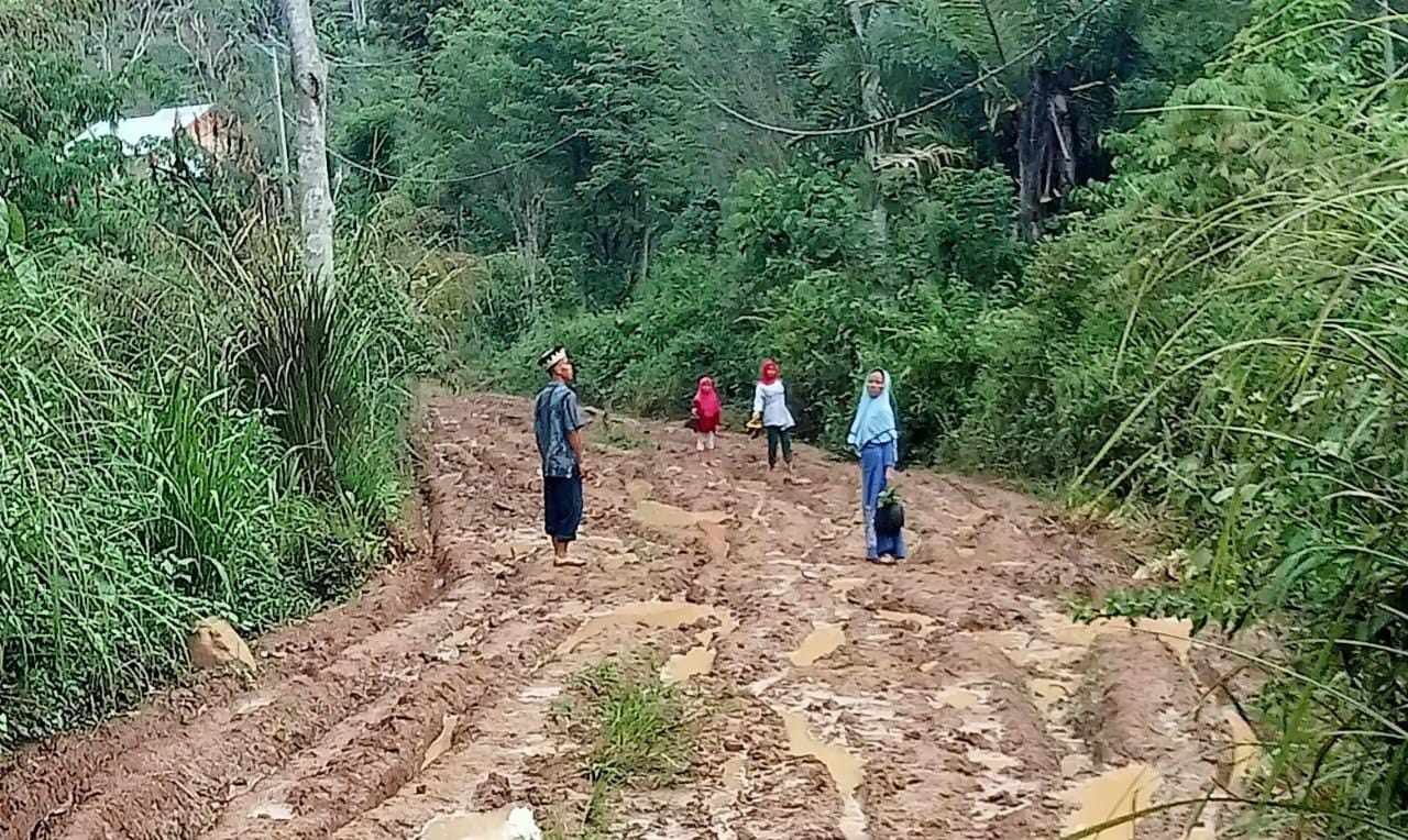 Soal Jalan Langgar Jaya - Damar Kencana, Pemkab Kepahiang Upayakan Sampai ke Pusat