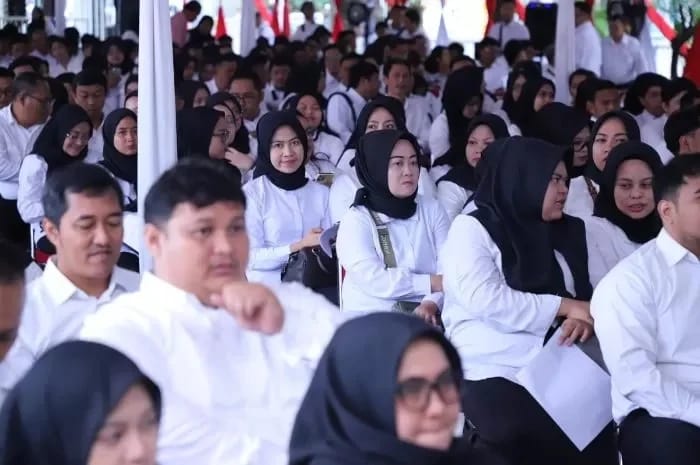 Tenang Saja, Masih Ada Kesempatan Kedua Bagi Peserta Seleksi PPPK yang Tidak Lulus