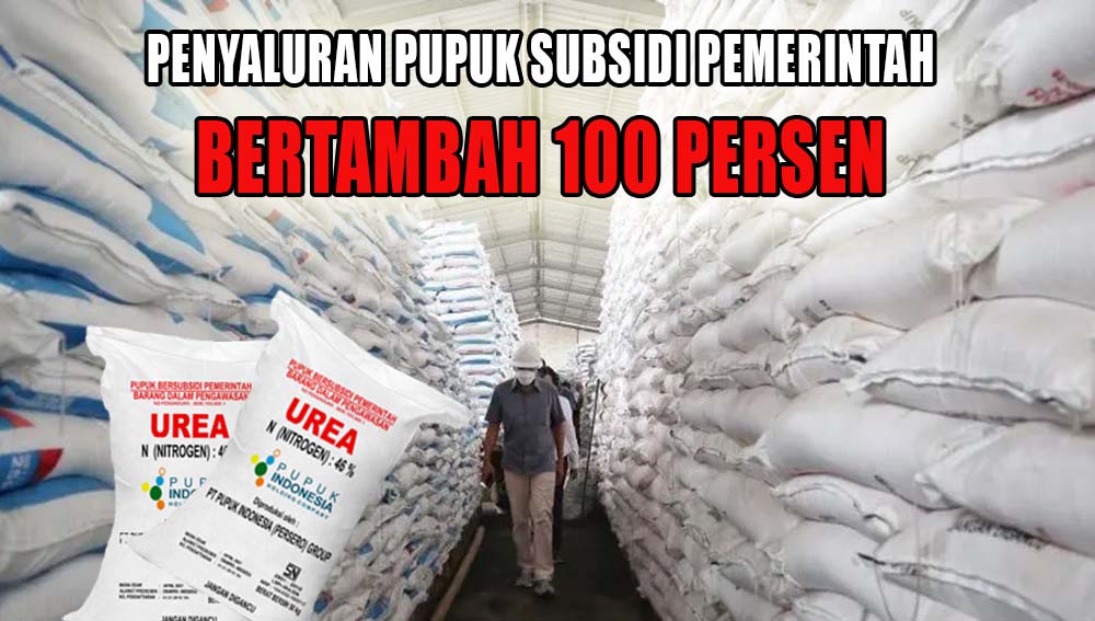 Jangan Sampai Tidak Tahu, Tahun 2024 Ini Pemerintah Perbanyak Penyaluran Pupuk Subsidi Untuk Petani