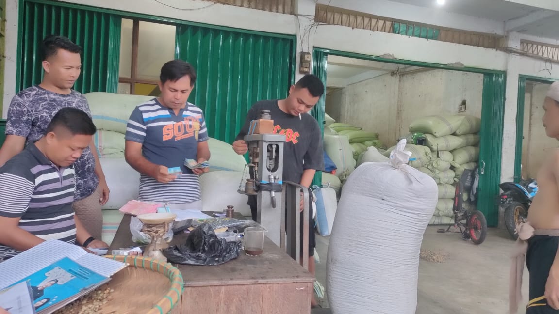 Alami Peningkatan, Kopi di Kepahiang Sentuh Harga Rp55 ribu untuk Kualitas Terbaik!