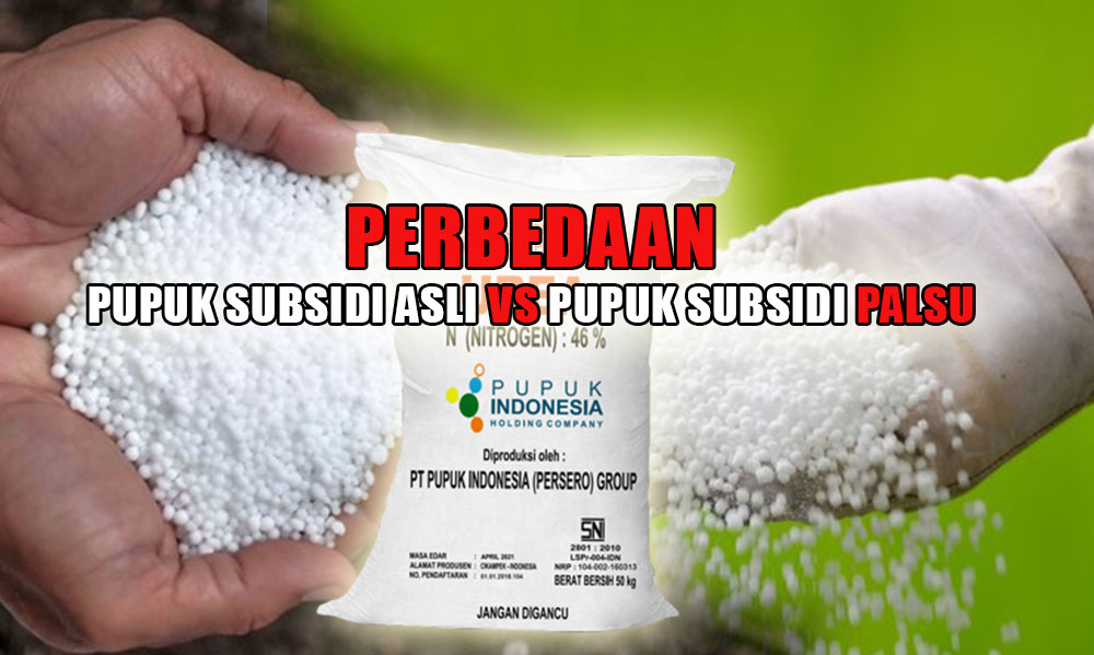 Petani Wajib Tahu, Ini Perbedaan Pupuk Subsidi Asli dan Pupuk Subsidi Palsu