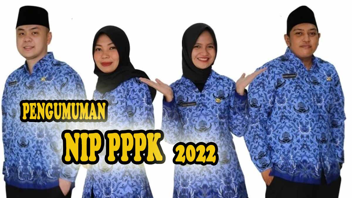 Pengumuman Terbaru NIP PPPK Tahun 2022 di 30 Daerah, Total 5.747 NIP PPPK Sudah ACC!