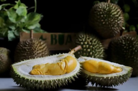 Apakah Benar Makan Durian Menyebabkan Kolestrol, Begini Penjelasannya!