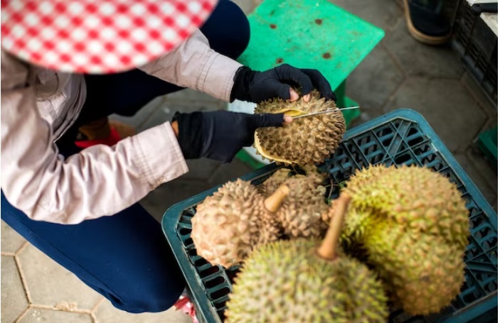 Bikin Pusing Kepala, 8 Tips Ampuh Ini Mampu Menghilangkan Bau Menyengat Durian Dalam Mobil