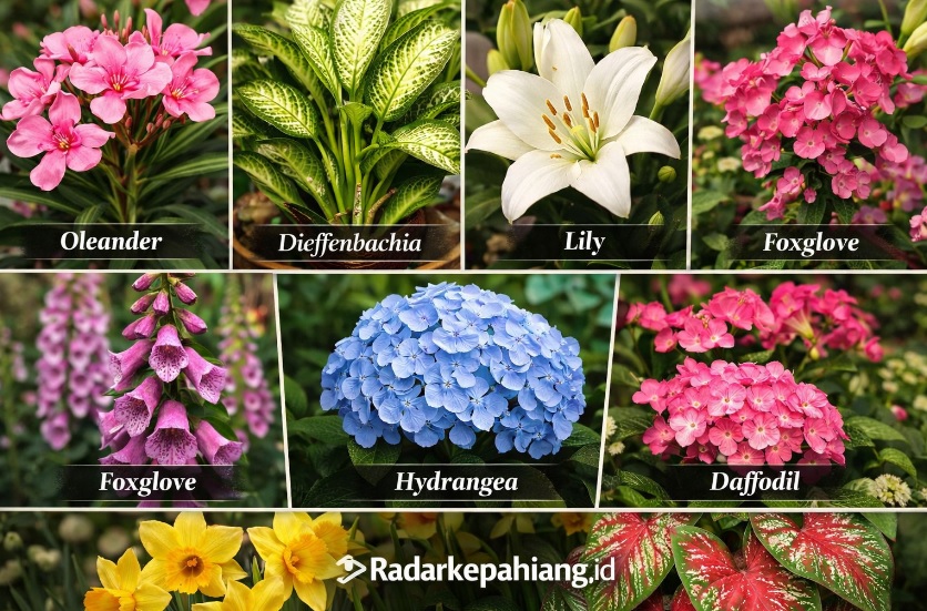 Waspada 7 Bunga Hiasan Rumah yang Cantik Ini Ternyata Beracun dan Berbahaya!