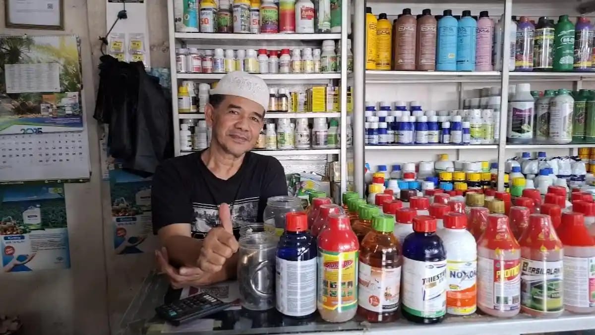 Harga Pupuk di Kepahiang Melonjak Hingga Sepi Pembeli