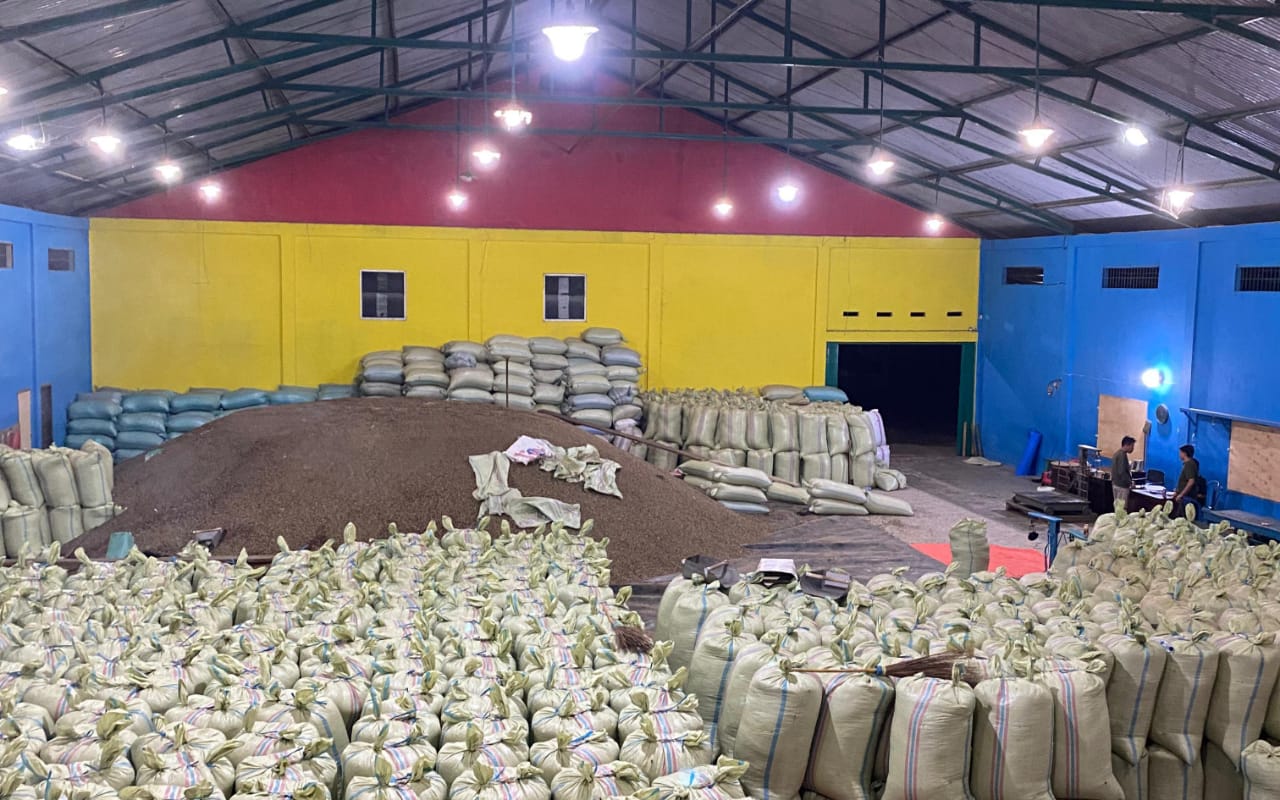 Alhamdulillah, Harga Kopi di Kepahiang Naik Lagi!