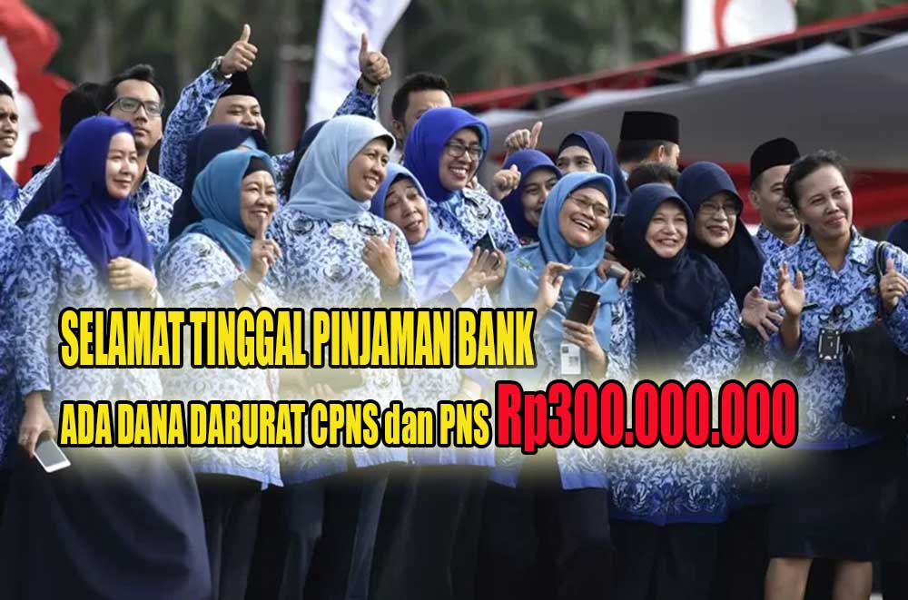 Langsung Cair Rp300 Juta, Tanpa Pinjaman Bank CPNS Dapat Pinjaman DANA Darurat Lewat Platform Pinjol Dumi