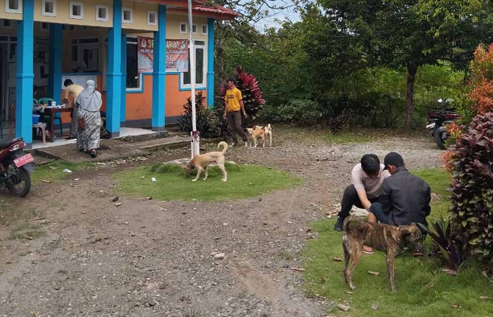 Kebutuhan Vaksin Belum Diakomodir, Pemilik HPR Diminta Tak Lepasliarkan Hewan Peliharaan