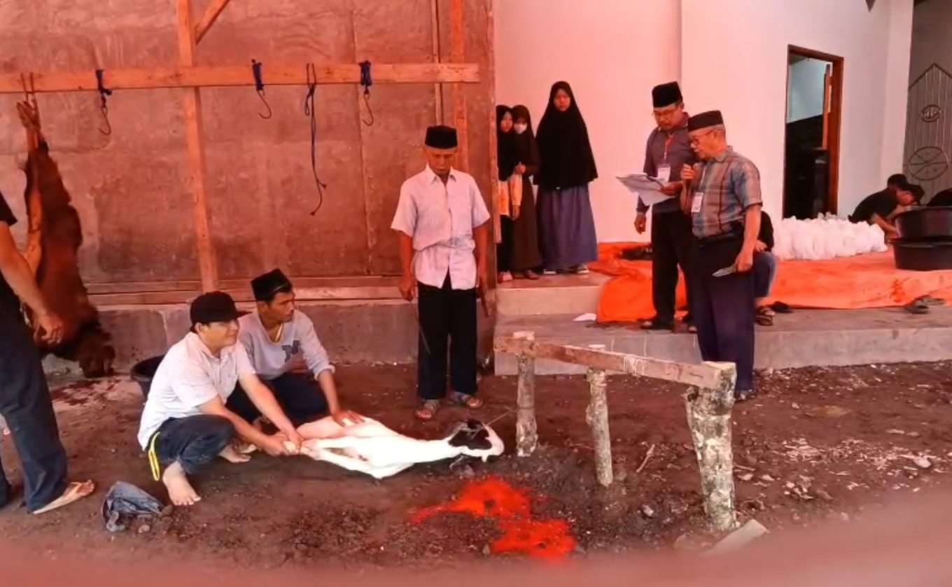 Partisipasi Terus Meningkat, Tahun Ini Permu Bawah Sembelih 6 Ekor Sapi dan 10 Ekor Kambing