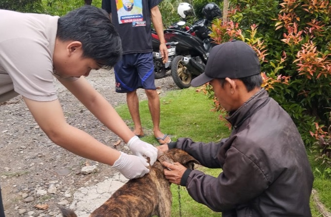 Eliminasi HPR Liar Terkendala Regulasi, Distan Ingatkan Pemilik Hewan Peliharaan Rutin Vaksinasi