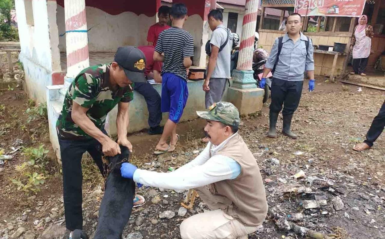 Kepahiang Kekurangan Dokter Hewan