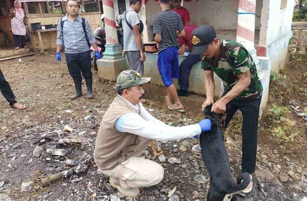 Anggaran Terbatas, Distan Kekurangan Alokasi Vaksin HPR
