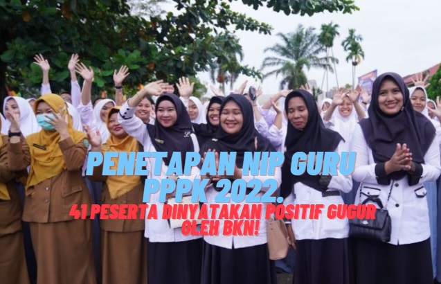 Penetapan NIP Guru PPPK,  41 Peserta Dinyatakan Positif Gugur Oleh BKN!