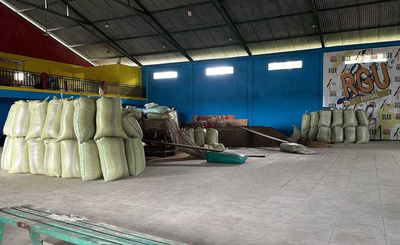 Harga Kopi di Kepahiang Semakin Melejit, Sekarang Sudah Segini!