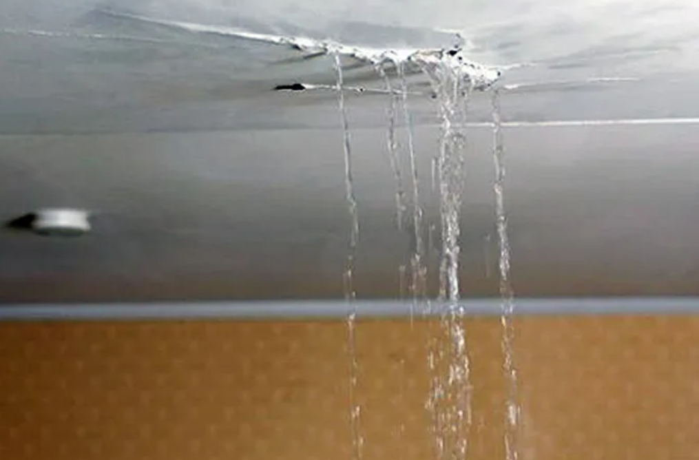 Cek Kebocoran Rumah dengan Cara Ini, Terapkan Sebelum Beli Rumah!