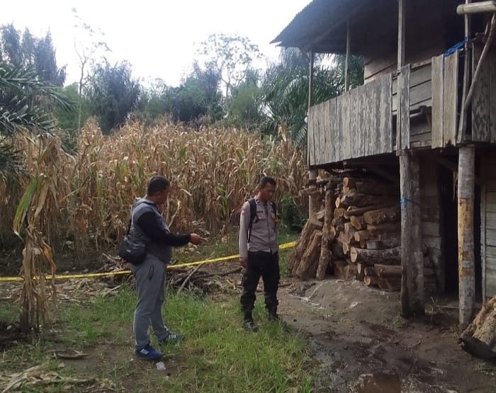 Sering Buat Onar, Istri Bunuh Suami di Rejang Lebong Diduga Depresi 