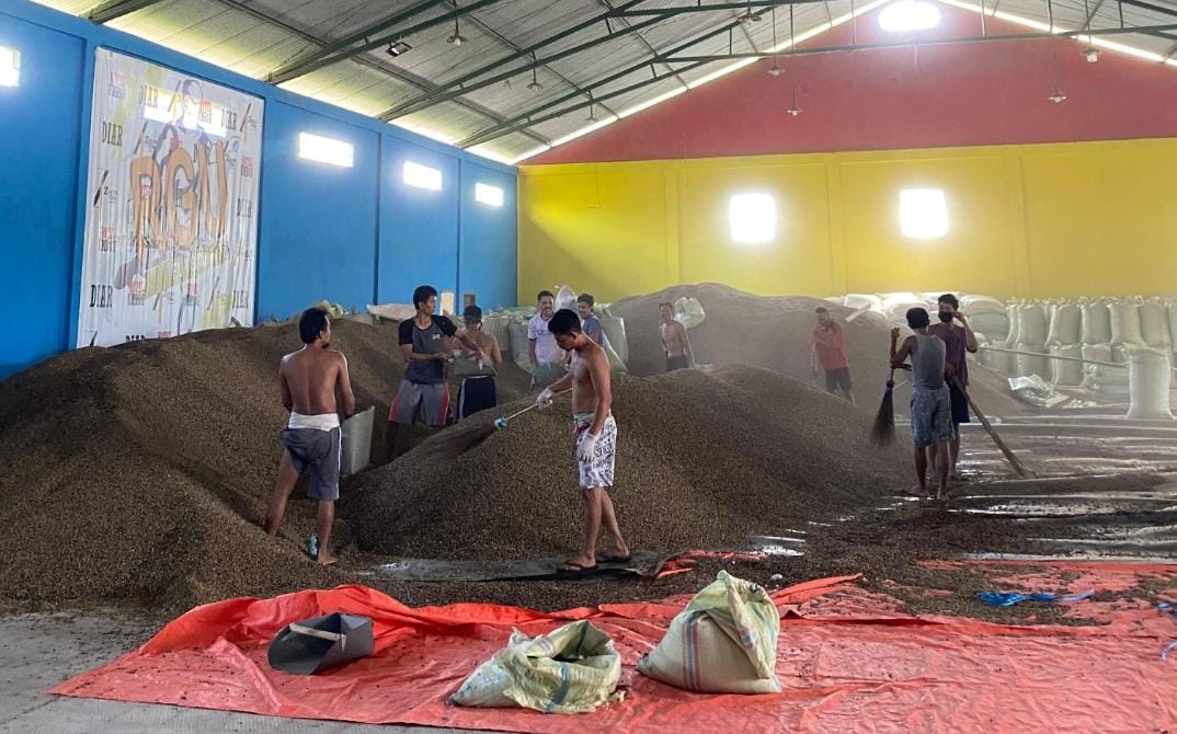 Waduh Kali Ini Harga Kopi di Kepahiang Turun Banyak!