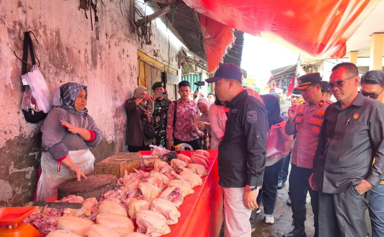 Jelang Tahun Baru Harga Ayam di Kepahiang Diprediksi Naik Lagi, Bisa Tembus Rp50 Ribu!