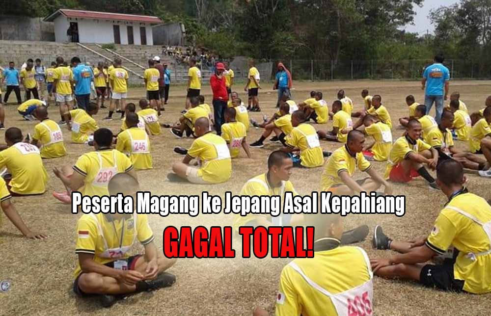 Gagal Total! Semua Peserta Magang ke Jepang Asal Kepahiang Tidak Lolos Seleksi