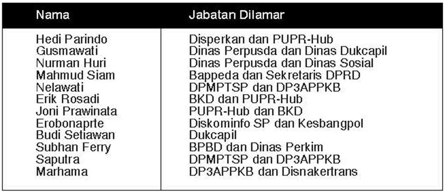 Hanya 13 Pendaftar, Pendaftaran Lelang JPTP Diperpanjang