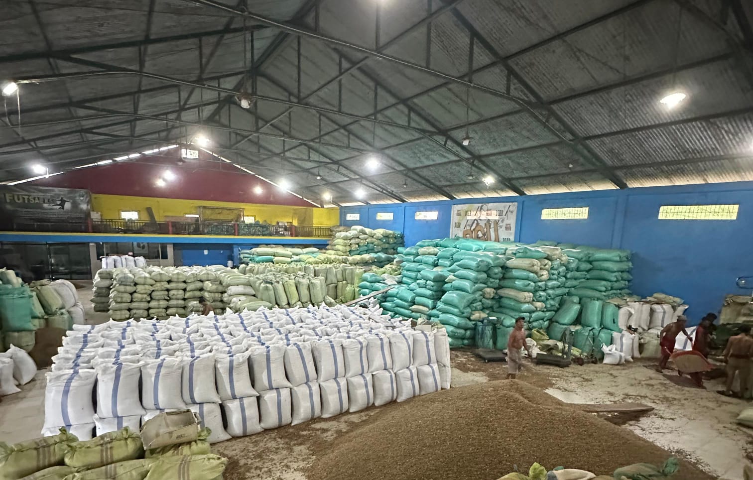 Turun, Harga Kopi di Kepahiang Saat Ini Bertahan Segini