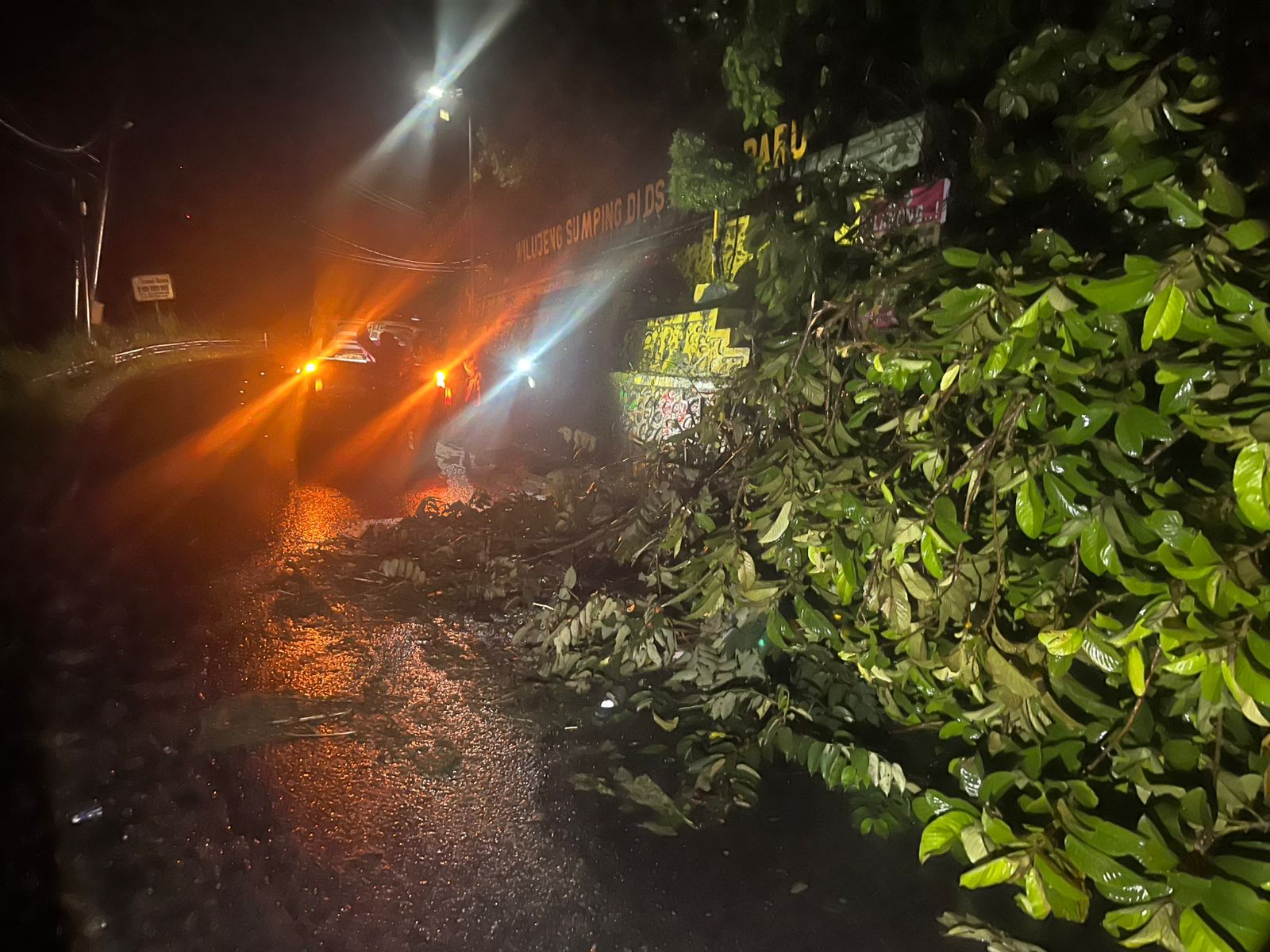 Ada 62 Titik Rawan Bencana, BPBD Kepahiang Imbau Masyarakat Tingkatkan Kewaspadaan