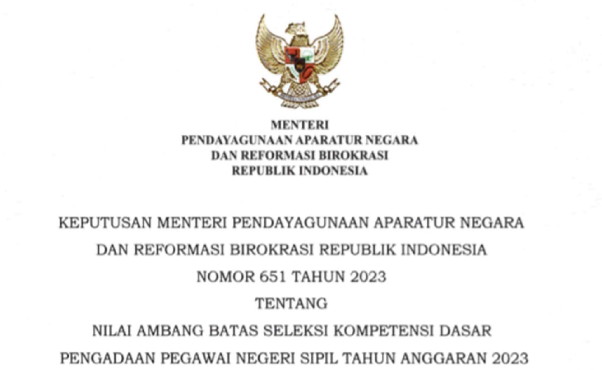 Jelang Tahapan Tes SKD CPNS 2023 Peserta Wajib Ketahui Beberapa Poin Penting Ini