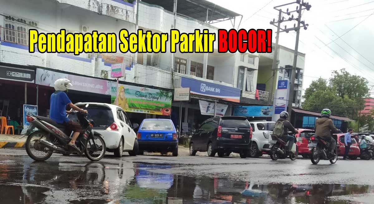 Pendapatan Parkir Bocor, Siap-Siap Dinas Perhubungan Kepahiang Lakukan Langkah Ini!