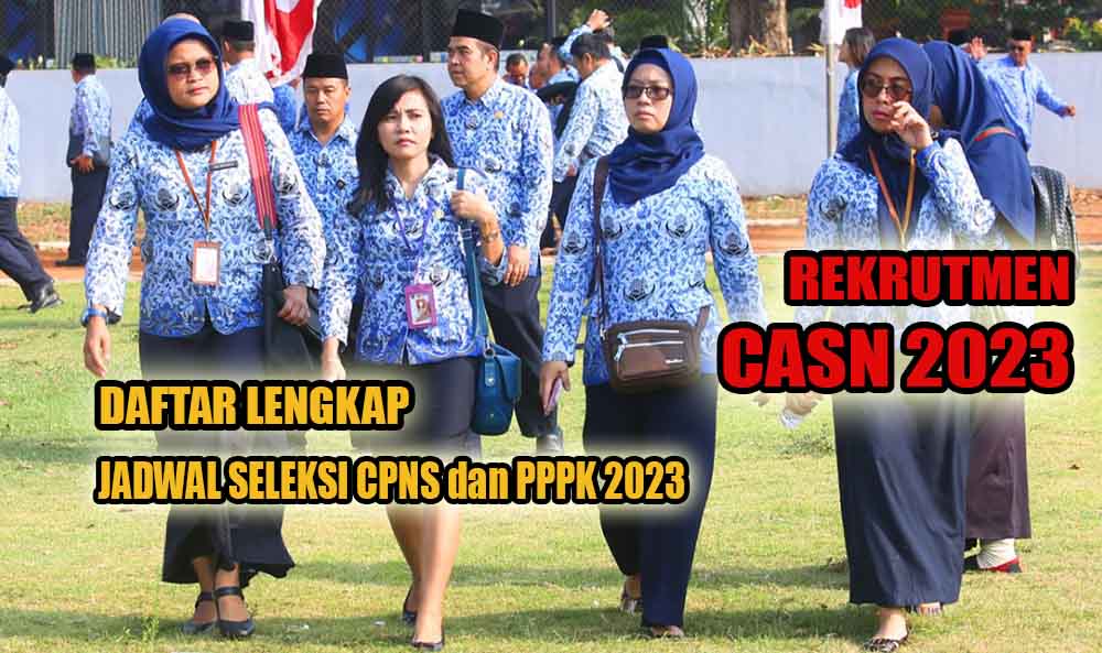 Rincian Formasi Rekrutmen CASN 2023, Catat Jadwal Seleksi CPNS dan PPPK 2023 Berdasarkan Pengumuman BKN