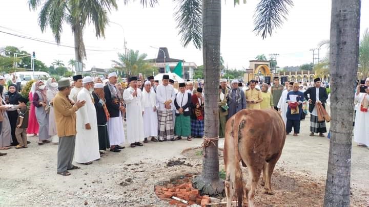 9.832 Hewan Ternak Dikurbankan di Bengkulu