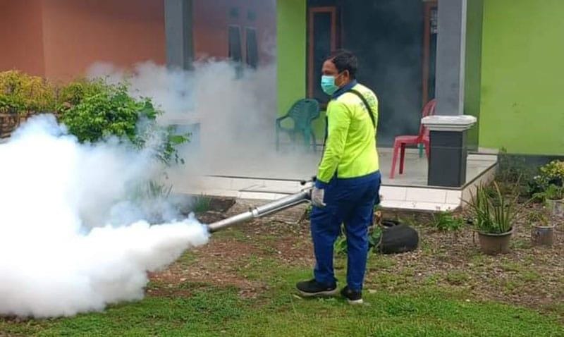 Musim Hujan Masyarakat Diingatkan Waspada DBD, Begini Gejala Berikut Pencegahannya!