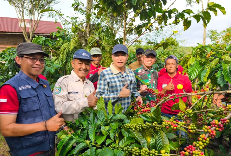 Masuk Program Prioritas, Bupati Kepahiang Optimis Produksi Kopi Kepahiang Meningkat Pesat