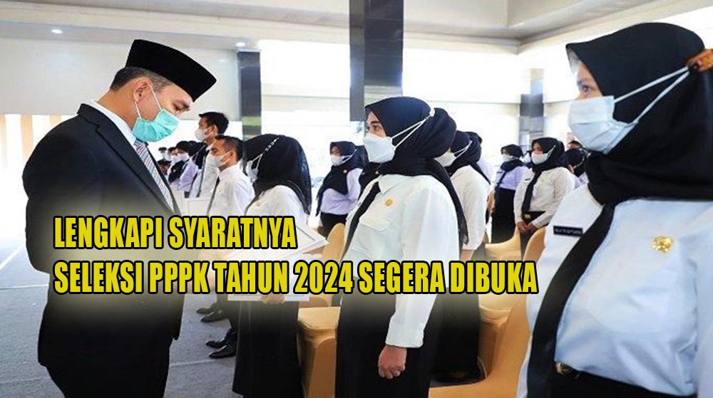 Seleksi PPPK Tahun 2024 Segera Dibuka, Simak dan Lengkapi Syarat Berikut Tahapan Tesnya