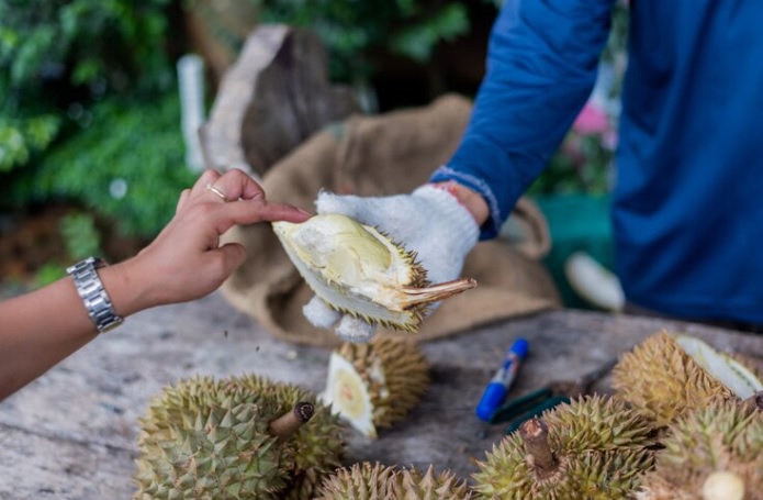 Hindari Gemuk Berlebihan Dengan Cara Batasi Mengkonsumsi Durian