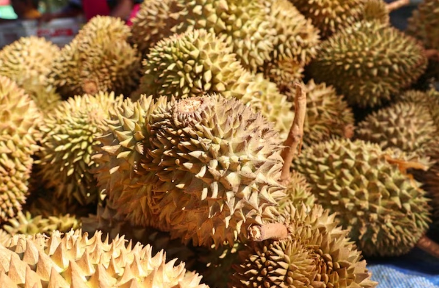 Jangan Ngaku Pecinta Durian Kalo Belum Tau 7 Fakta Unik Buah Durian, Berikut Ini Rinciannya!