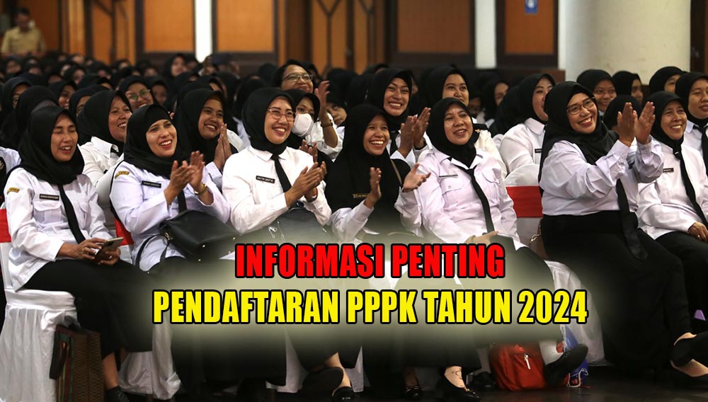 Informasi Penting Pendaftaran PPPK Tahun 2024, Tenaga Honorer Wajib Baca!