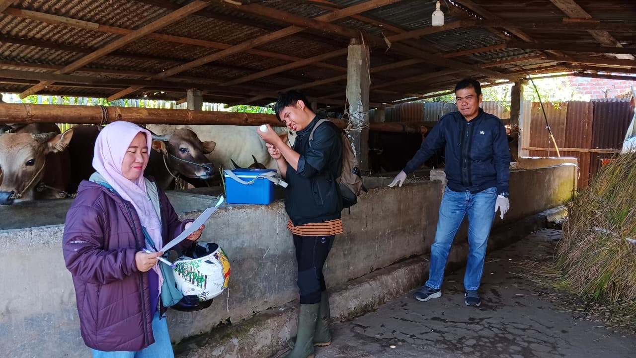 Antisipasi PMK, Dinas Pertanian Kepahiang Tingkatkan Pengawasan Hewan Ternak