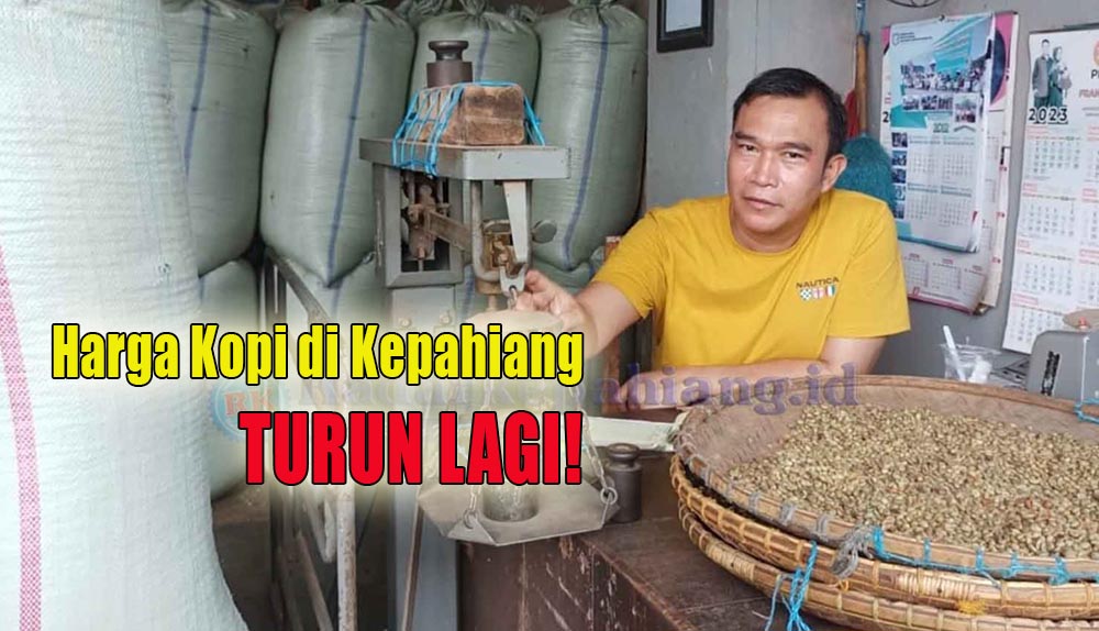 Bertahan Sehari, Harga Kopi di Kepahiang Kini Kembali Turun Lagi!