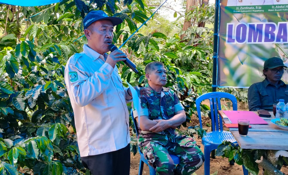 Dispertan Kepahiang: Perkebunan Kopi Kepahiang Terluas di Provinsi Bengkulu!