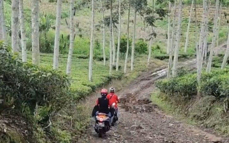 1 Link Hotmix Jalan Menuju Lokasi SR Diakomodir BPJN, Bupati Kepahiang: Dibangun Tahun Ini!