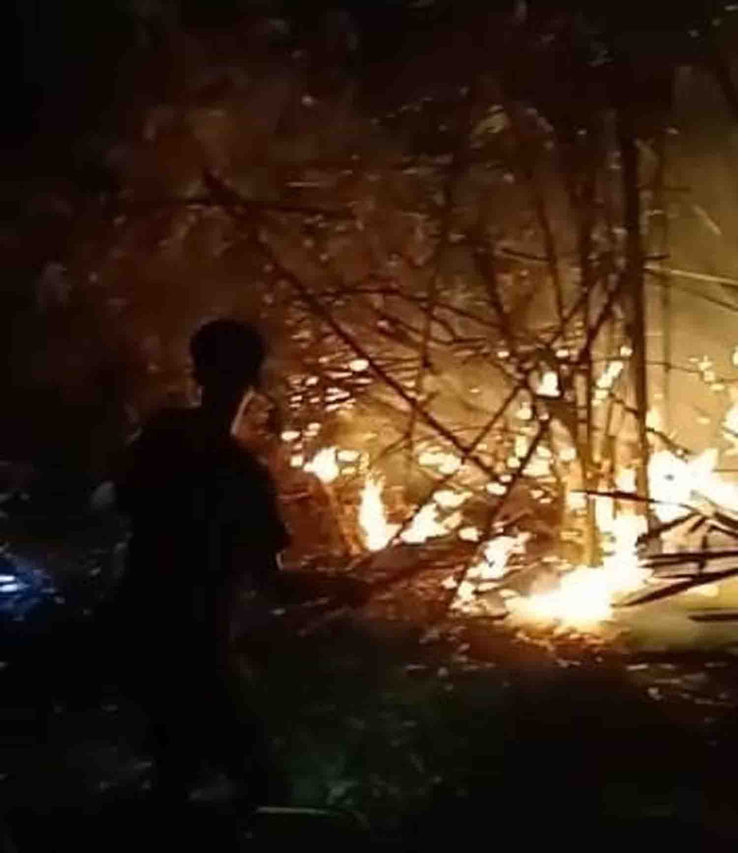 Karhutlah Lagi, Lahan Setengah Hektar di Kepahiang Habis Dilalap Api